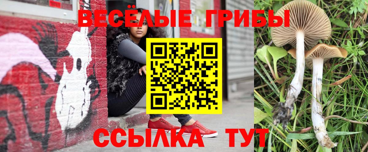 Псилоцибиновые грибы мухоморы Миллерово